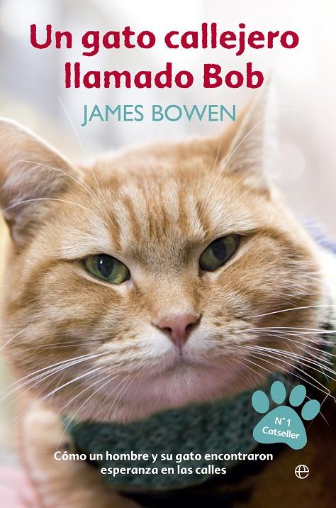 Un gato callejero llamado Bob | 9788499709451 | James Bowen