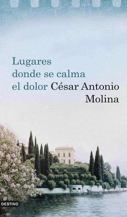 Lugares donde se calma el dolor | 9788423341894 | César Antonio Molina