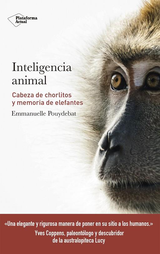 Inteligencia animal | 9788417114947 | Pouydebat, Emmanuelle