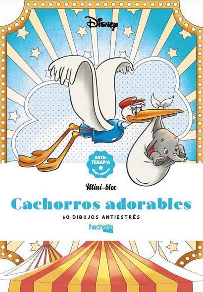 Cachorros adorables | 9788419804341 | Varios autores