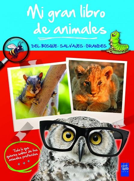 Mi gran libro deanimales... azul | 9788408008484