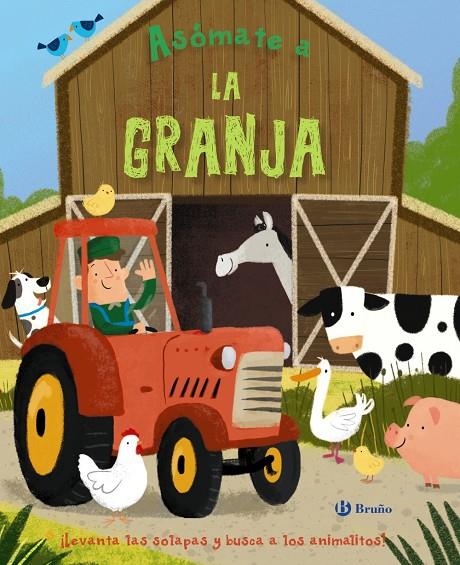 Asómate a la granja | 9788469622834 | Varios Autores