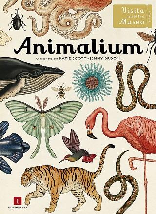 Animalium | 9788415979463