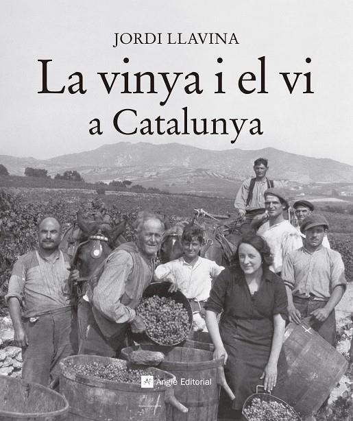 La vinya i el vi a Catalunya | 9788416139187 | Jordi Llavina