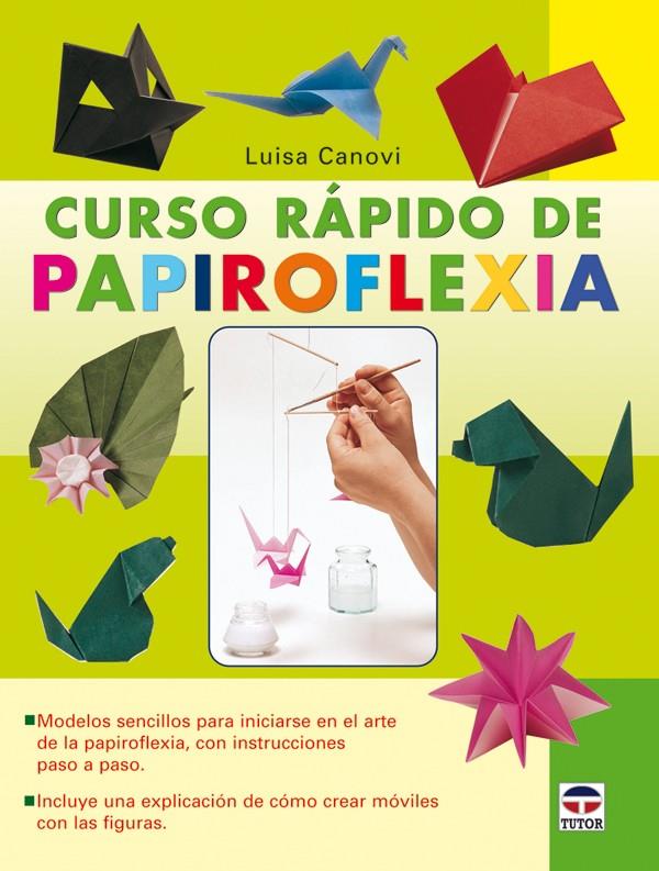 Curso rápido de papiroflexia | 9788479027704 | Luisa Canovi