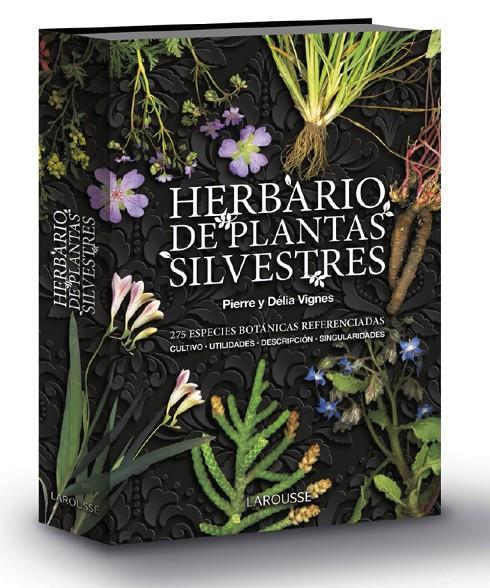 Herbario de plantas silvestres | 9788417720605 | Vignes, Pierre/Vignes, Délia