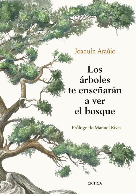 Los árboles te enseñarán a ver el bosque | 9788491992080 | Araújo, Joaquín