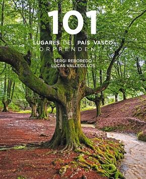 101 Destinos del País Vasco sorprendentes | 9788491586913 | Reboredo Manzanares, Sergi/Vallecillos, Lucas