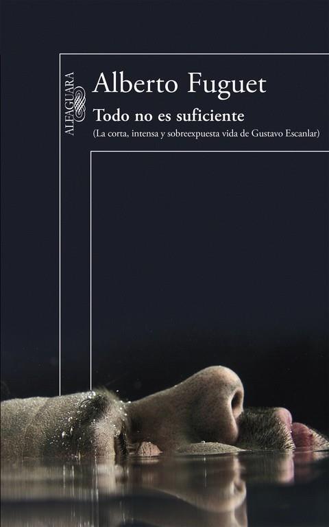 Todo no es suficiente | 9788420419992 | Alberto Fuguet