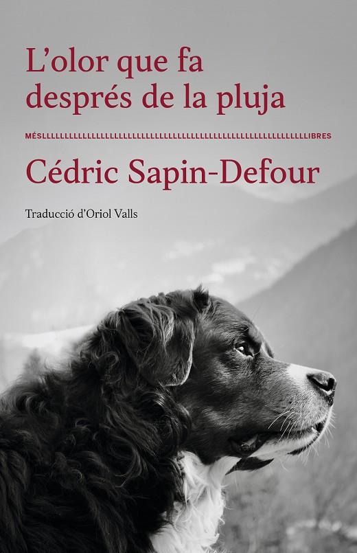 L'olor que fa després de la pluja | 9788417353568 | Cédric Sapin-Defour