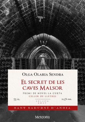 Secret de les Caves Malsor, El | 9788494698293 | Olga Olaria Sendra