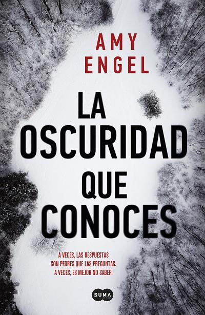 La oscuridad que conoces | 9788491294108 | Engel, Amy