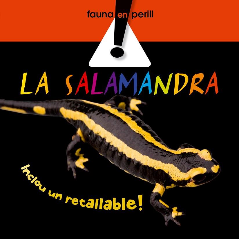 La salamandra | 9788498254501 | Queralt, Elisenda