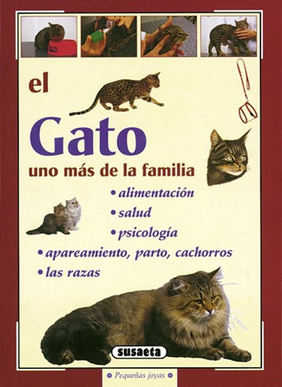 El gato, uno más de la familia | 9788430597420 | Pequeñas joyas