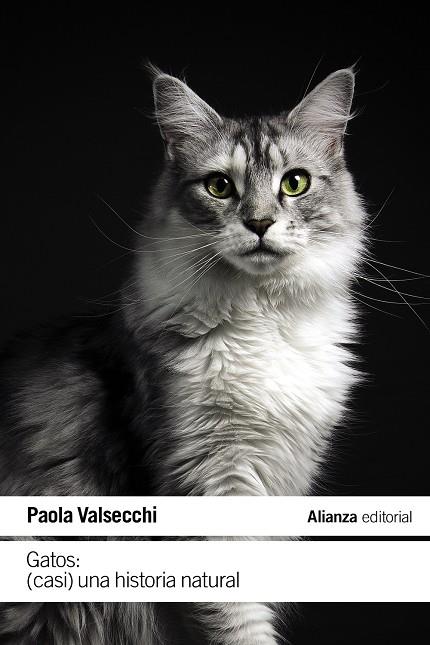 Gatos | 9788411485616 | Valsecchi, Paola