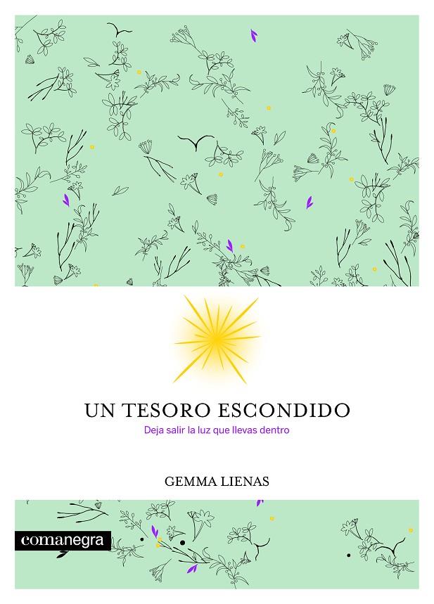 Un tesoro escondido | 9788416605354 | Gemma Lienas