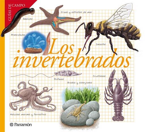 Los invertebrados | 9788434240599 | Barres Manuel, Josep M.