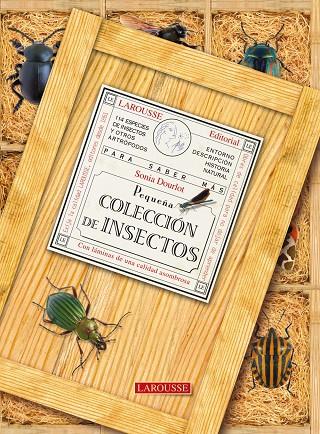 Pequeña colección de insectos | 9788480169158 | VV.AA.