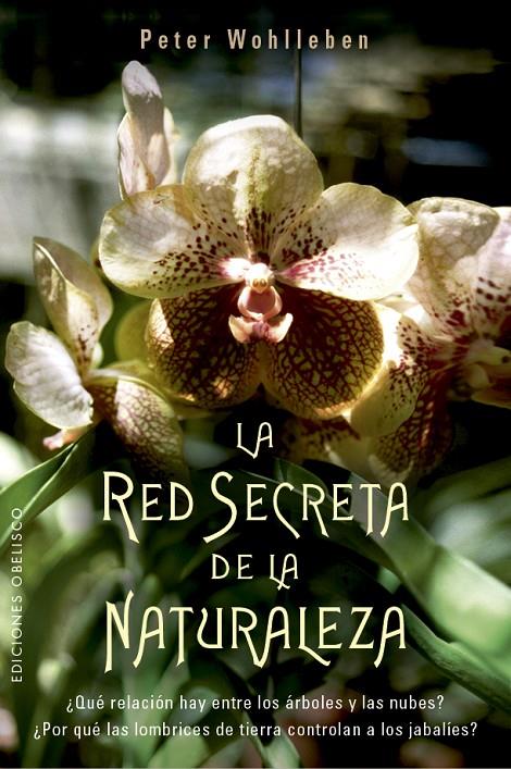 La red secreta de la naturaleza | 9788491114192 | Wohlleben, Peter