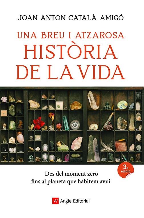 Una breu i atzarosa història de la vida | 9788418197956 | Català Amigó, Joan Anton