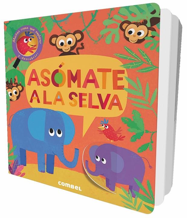 Asómate a la selva | 9788491011446 | Litton, Jonathan