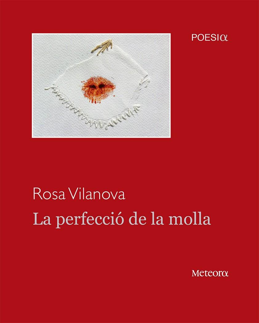 La perfecció de la molla | 9788494362941 | Rosa Vilanova