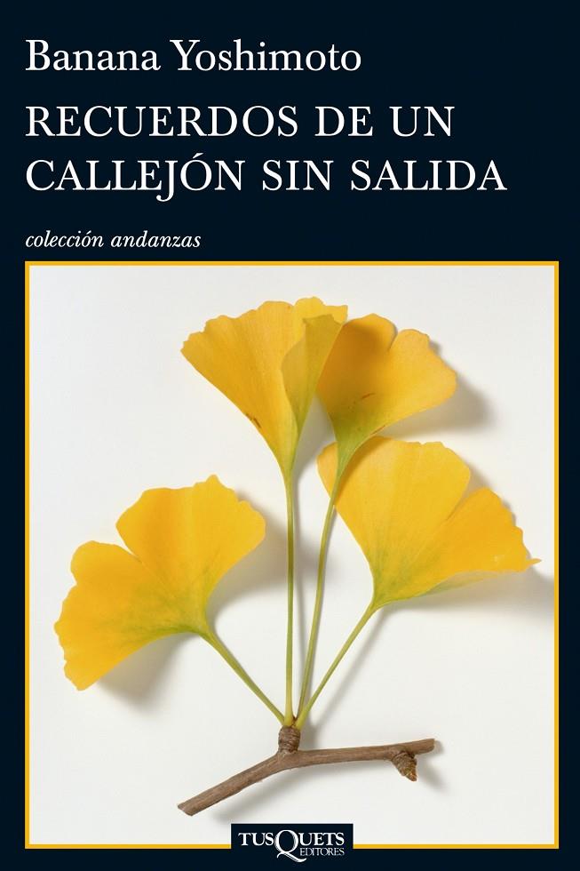 Recuerdos de un callejón sin salida | 9788483833360 | Banana Yoshimoto