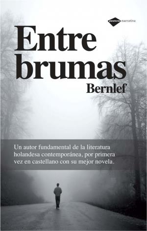 Entre brumas | 9788496981911 | Bernlef