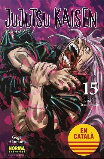 Jujutsu Kaisen 15 | 9788467957693 | Akatami, Gege