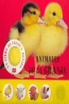 Animales de la granja | 9788479421045 | books, Priddy