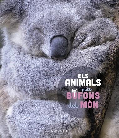 Els animals més bufons del món | 9788419436184 | Ledu, Stéphanie