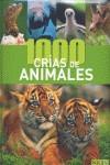 1000 crías de animales | 9783625123866 | AA.VV.