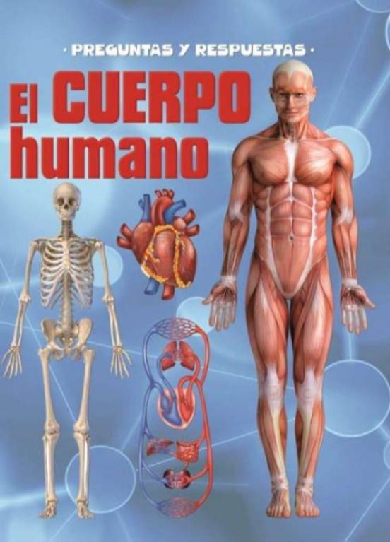 Preguntas y respuestas. El cuerpo humano | 9788419616098 | Playbook