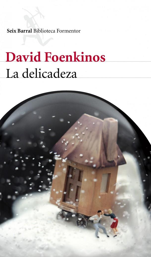 La delicadeza | 9788432209246 | David Foenkinos