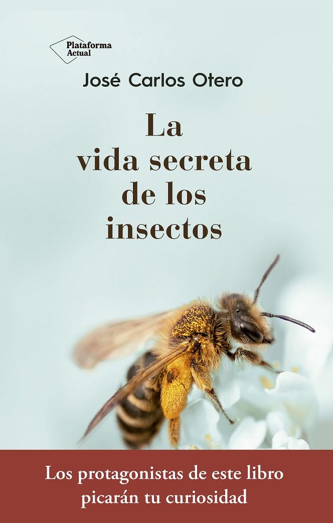 La vida secreta de los insectos | 9788417376789 | Otero González, José Carlos