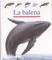 La balena | 9788482868264 | Gallimard Jeunesse, Éditions