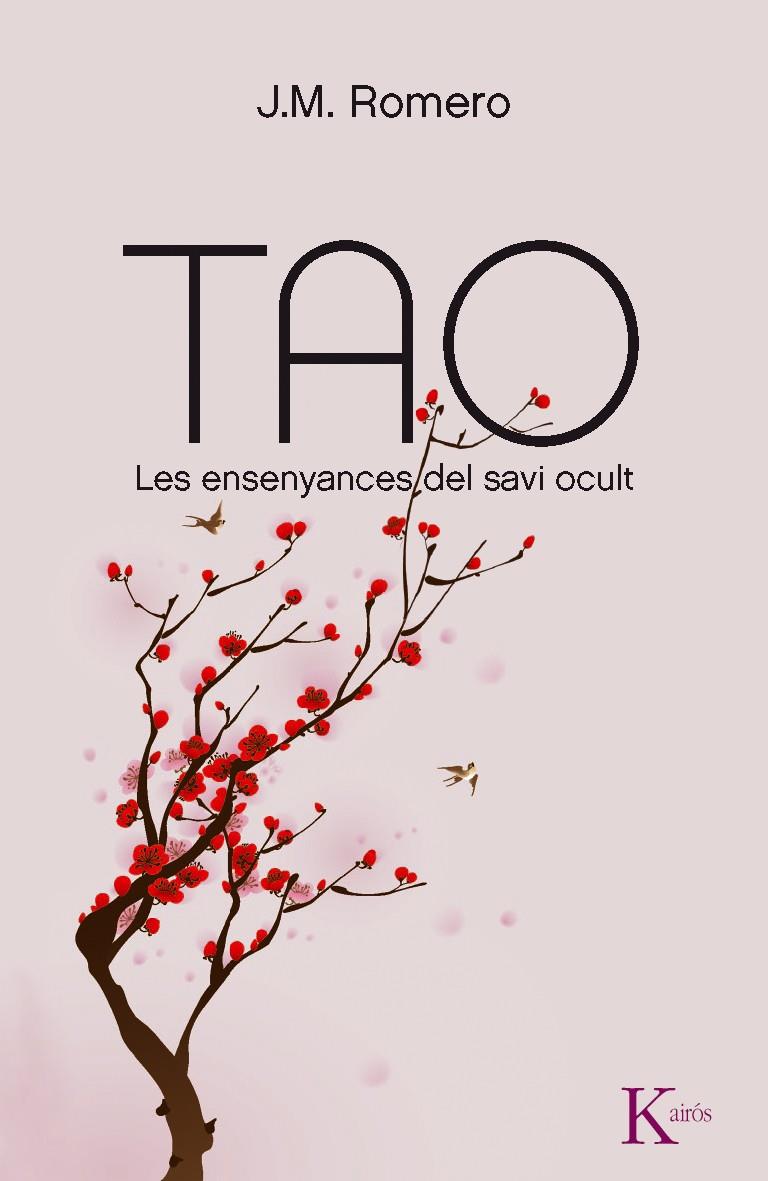 Tao, les ensenyances del savi ocult | 9788499881805 | J.M. Romero