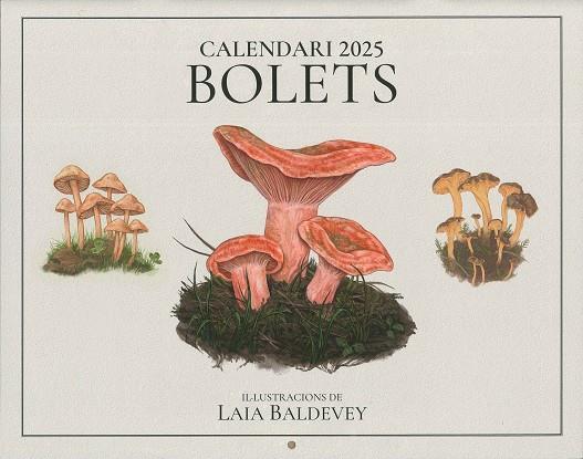 Calendari 2025 Bolets | 8415001049194