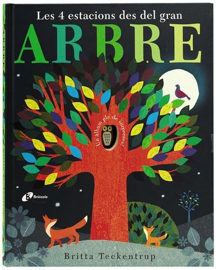 Les 4 estacions des del gran ARBRE | 9788499066301 | Hegarty, Patricia