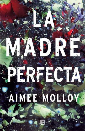 La madre perfecta | 9788466663519 | Aimee Molloy