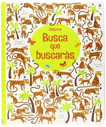 Busca que buscarás | 9781409593348 | Robson Kirsteen