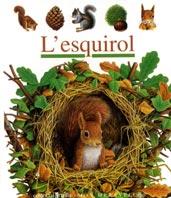 L'esquirol | 9788482865836 | Gallimard Jeunesse, Éditions