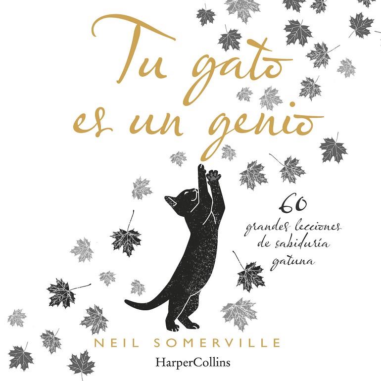 Tu gato es un genio. 60 grandes lecciones de sabiduría gatuna | 9788491394211 | Somerville, Neil