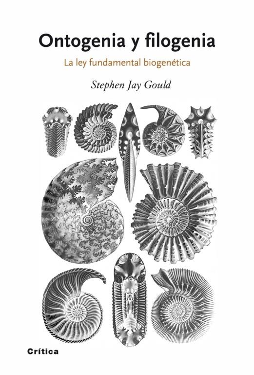 Ontogenia y filogenia. La ley fundamental biogenética | 9788498920628 | Stephen Jay Gould