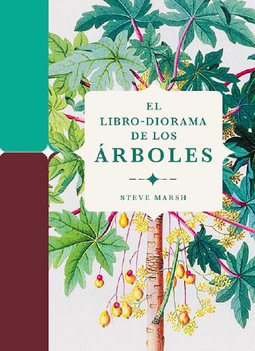 El libro-diorama de los árboles | 9788412386196 | Marsh, Steve