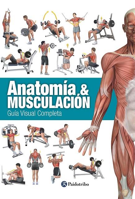 Anatomía & musculación | 9788499104911 | Cánovas Linares, Ricardo