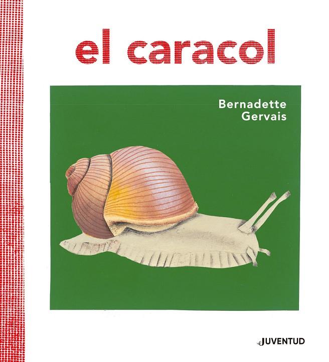 El caracol | 9788426145673 | Gervais, Bernadette