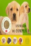 Animales de compañía | 9788479421038 | books, Priddy