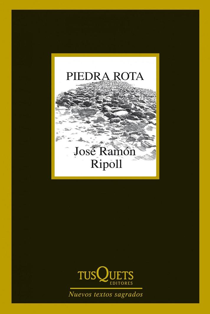 Piedra rota | 9788483834787 | José Ramón Ripoll