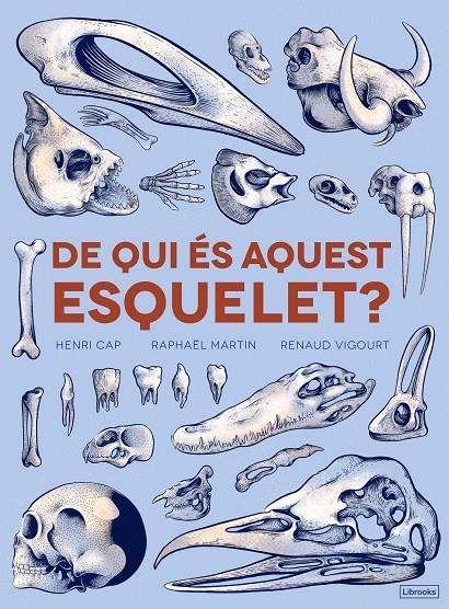 De qui és aquest esquelet? | 9788494731860 | VV.AA